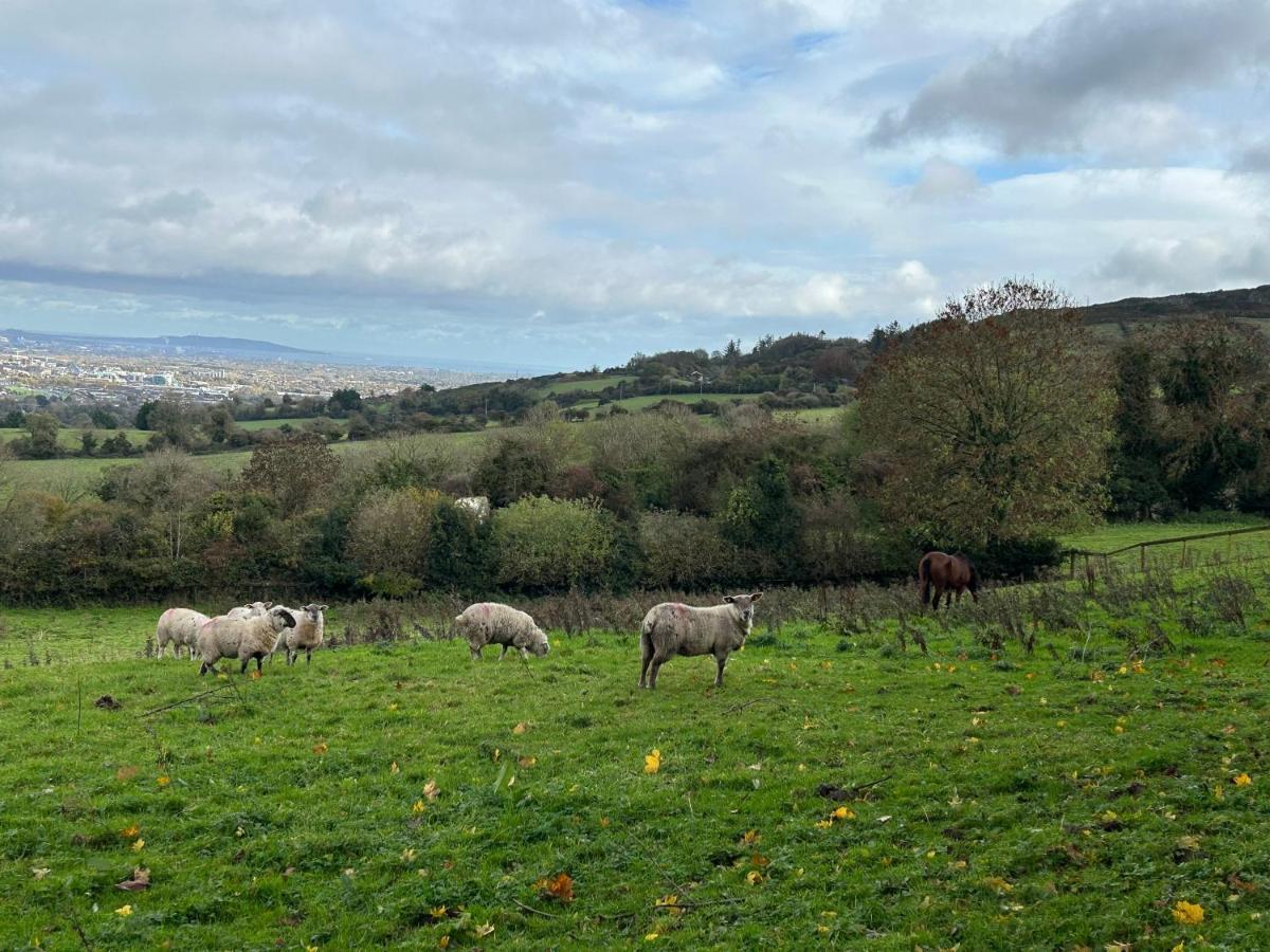 Cozy Room In A Barn With Farm View Dublin Bagian luar foto