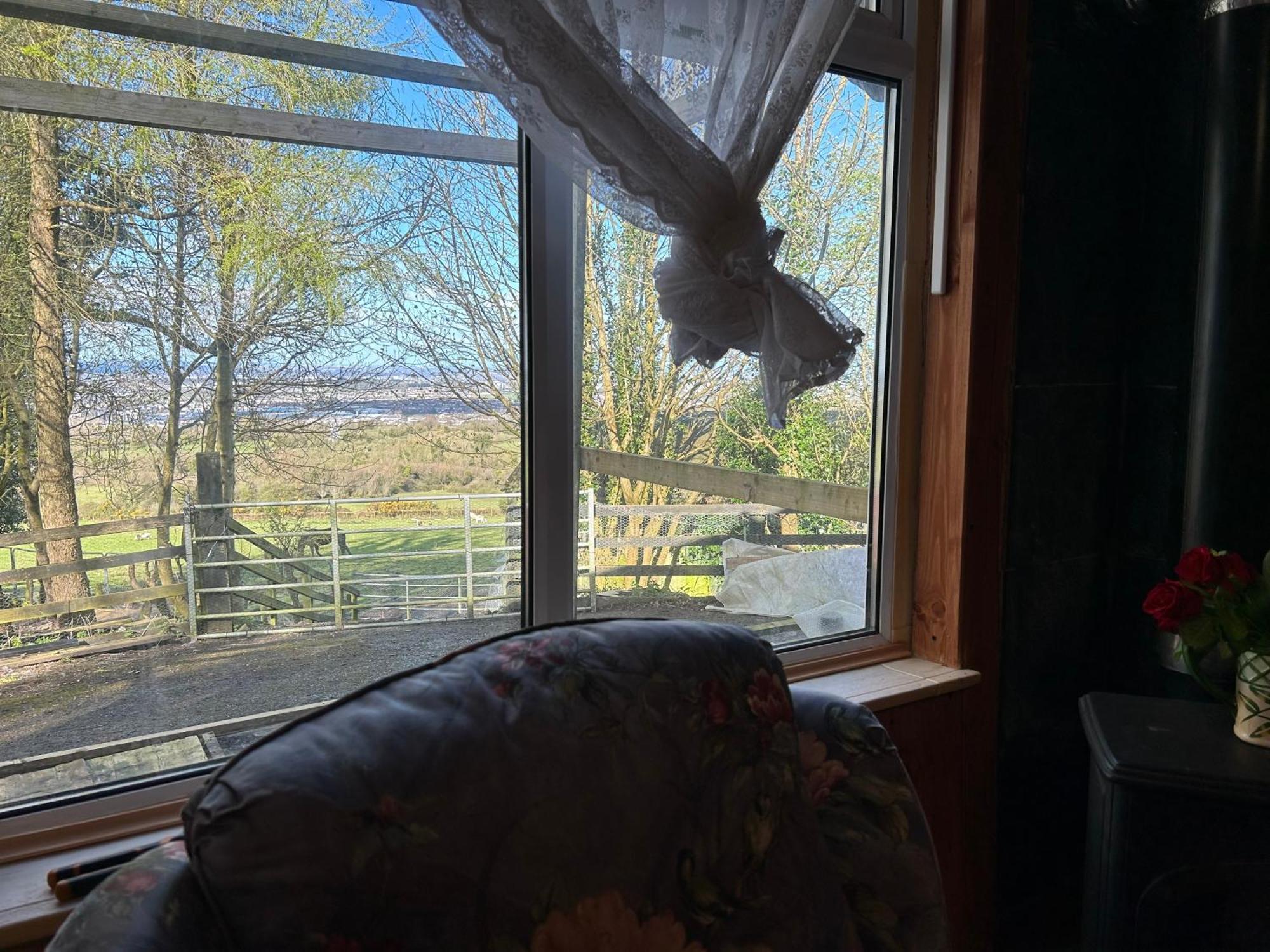 Cozy Room In A Barn With Farm View Dublin Bagian luar foto