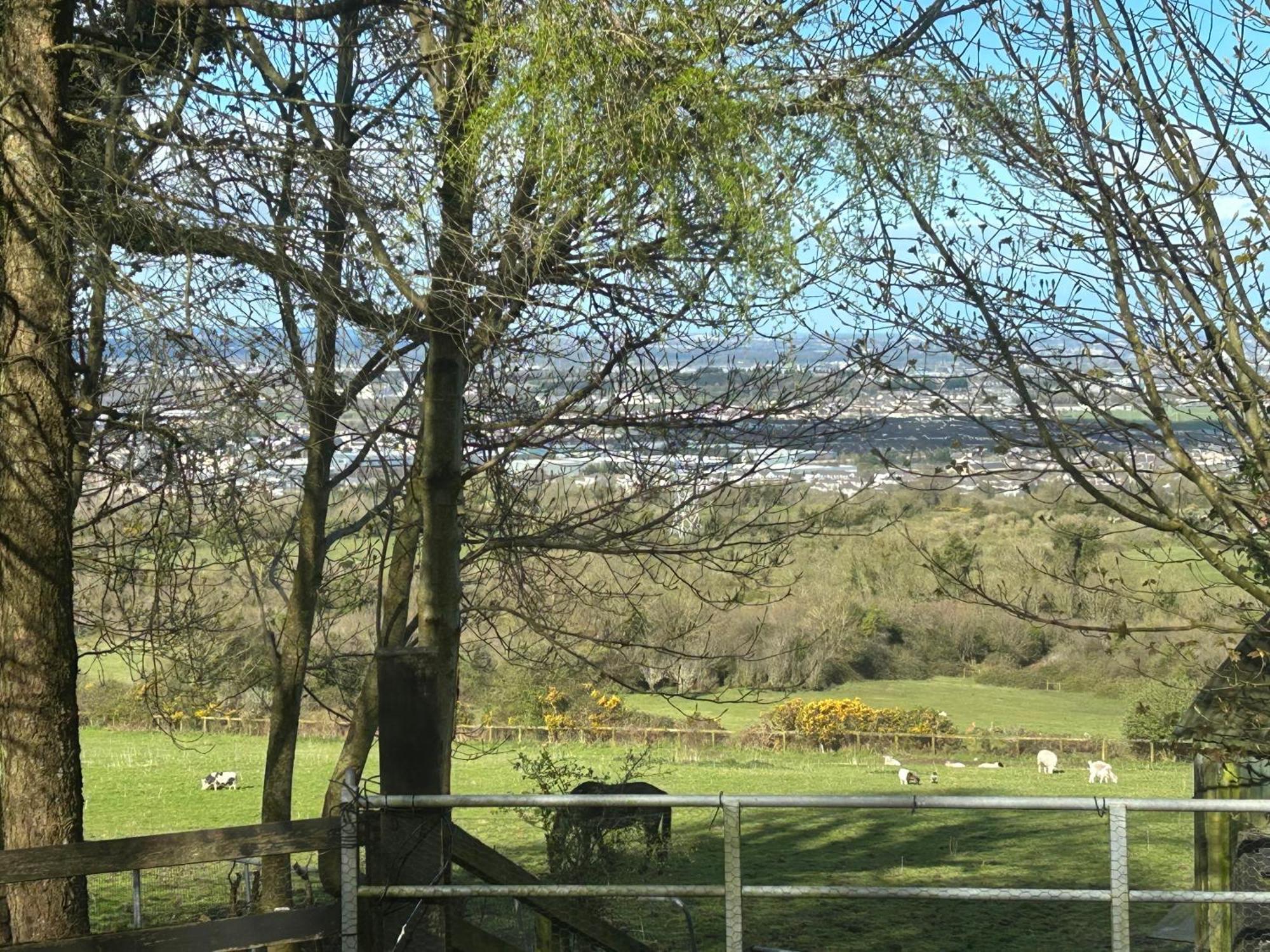 Cozy Room In A Barn With Farm View Dublin Bagian luar foto